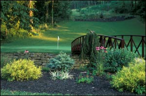 Retaining Wall and Landscaping